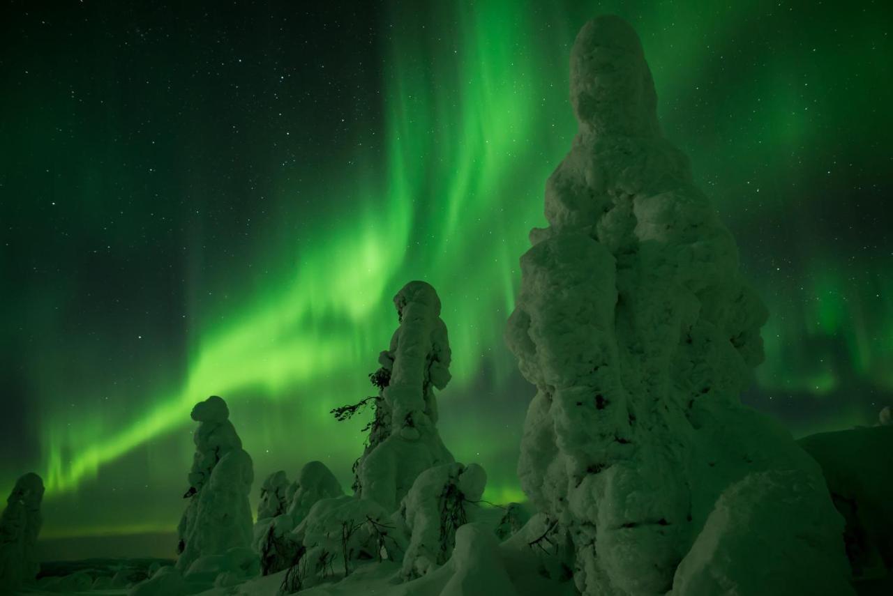 Vila Raekkipirtti Luosto Exteriér fotografie