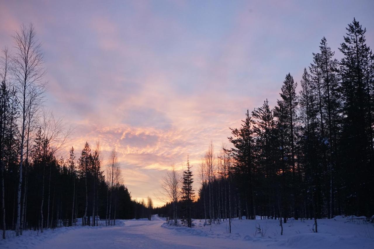 Vila Raekkipirtti Luosto Exteriér fotografie