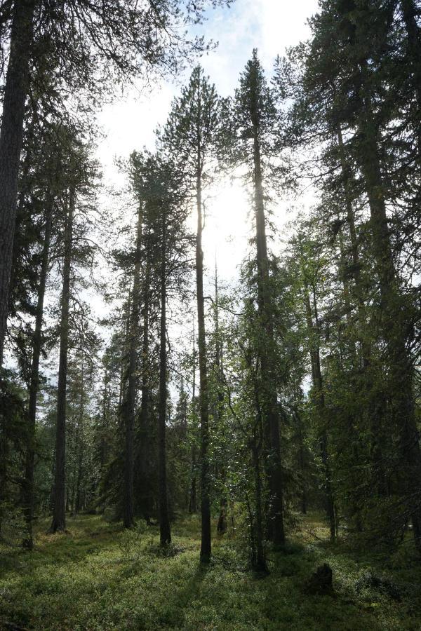 Vila Raekkipirtti Luosto Exteriér fotografie